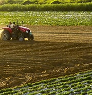 國民經濟 | 農業技術體系